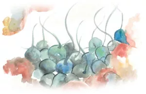 Erectile Dysfunction Yinstill Reproductive Health