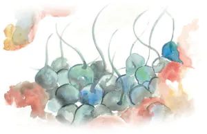 Erectile Dysfunction Yinstill Reproductive Health