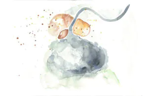 pelvic pain yinstill reproductive wellness