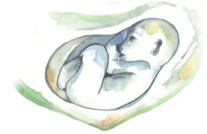 pregnancy yinstill reproductive wellness