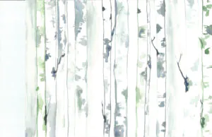Abstract depiction of tall trees with gentle brush strokes in shades of green and gray against a light background.