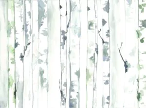A watercolor illustration of thin, tall trees with a light and airy background, showcasing subtle greens and blues.
