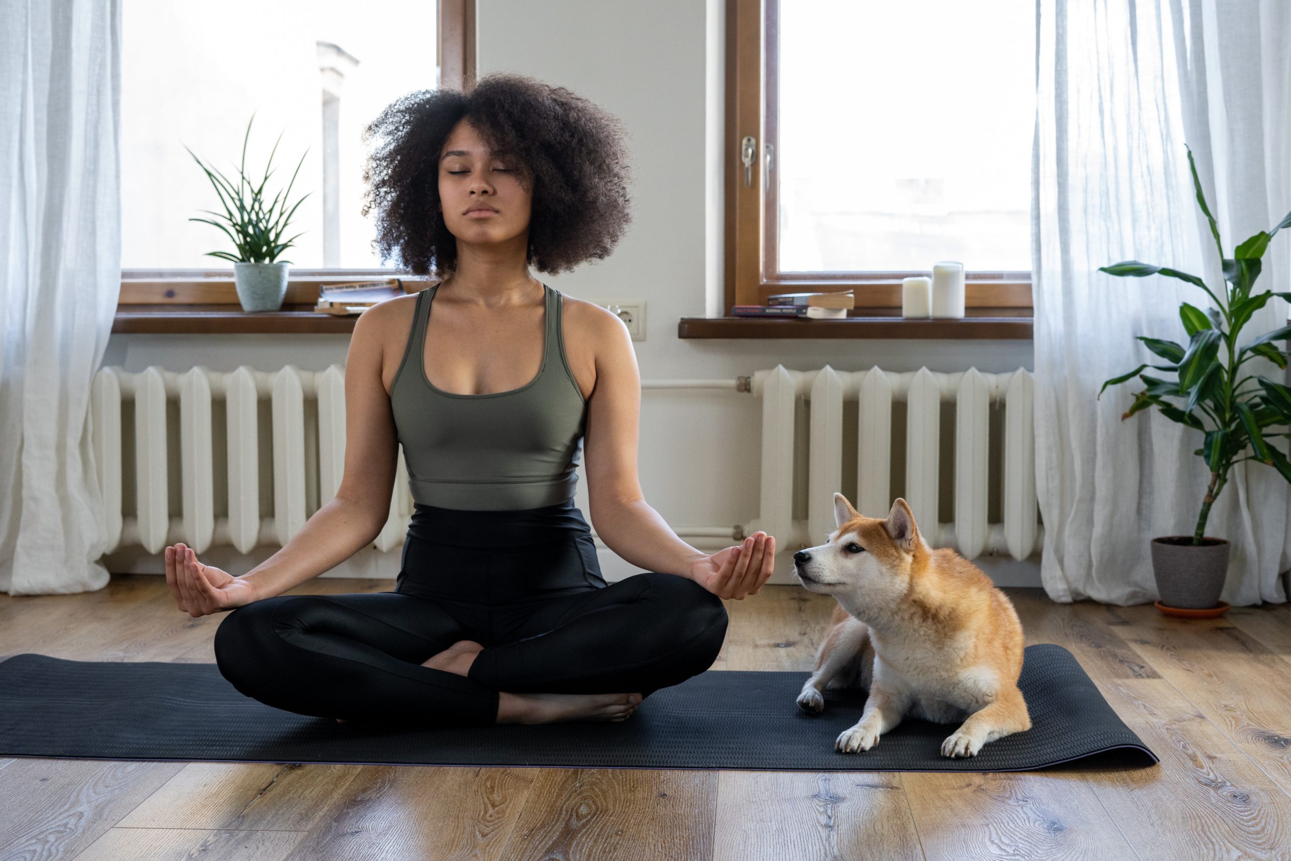 yoga, fertility, infertility, acupuncture