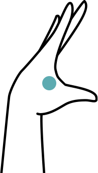A stylized outline of a hand holding a small, solid teal circle in the palm.