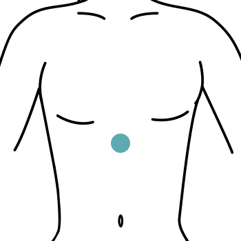 A simple illustration of a human torso with a colored dot centered on the abdomen.
