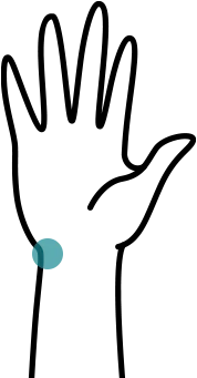 An outline of an open hand with a blue circular shape located near the wrist.