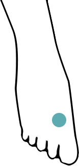 A simple illustration of a foot with a small blue dot placed on one of the toes.