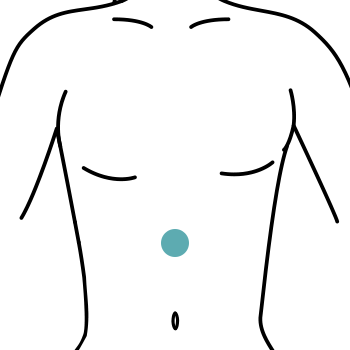 A simple outline of a human torso with a circular symbol in the center of the abdomen area.